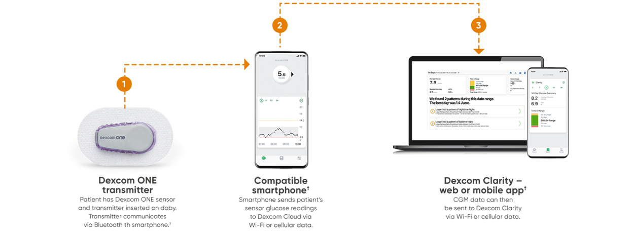 How the Dexcom ONE system works together